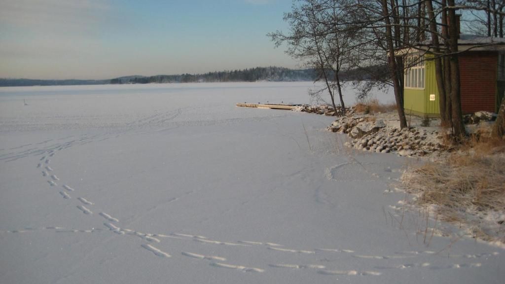 Виллы Nestorinranta Villa Линтусало