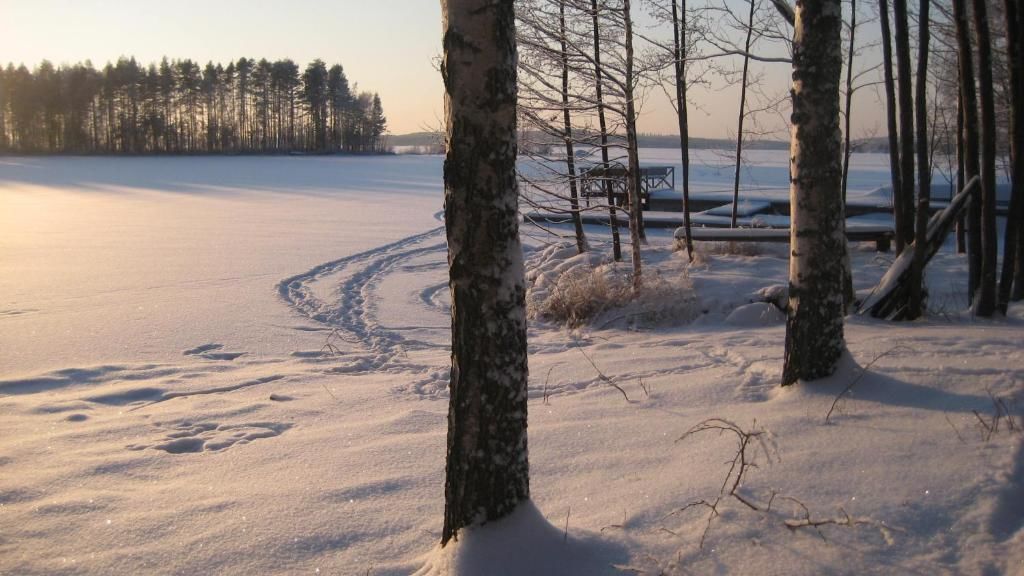 Виллы Nestorinranta Villa Линтусало