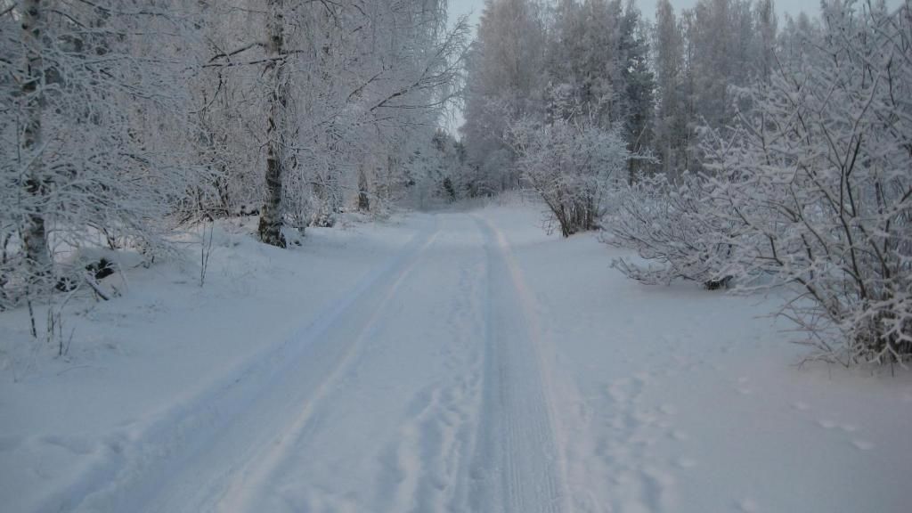 Виллы Nestorinranta Villa Линтусало